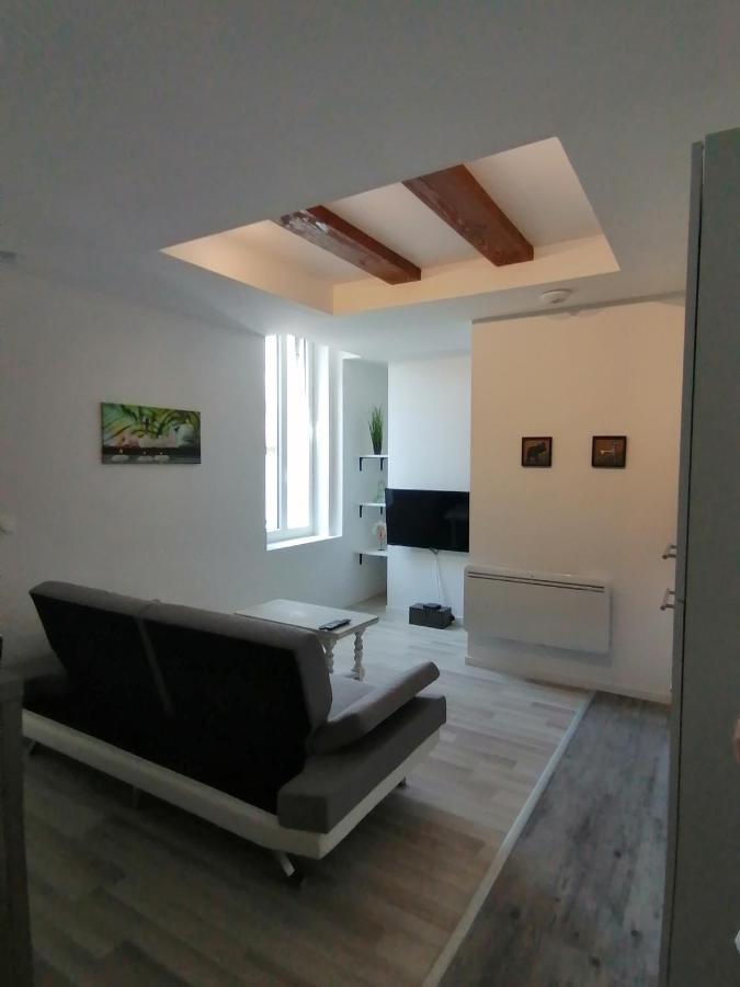 Jungle Zen Beau T2 Avec Jardin Gare 100M Apartment Tonneins Exterior photo